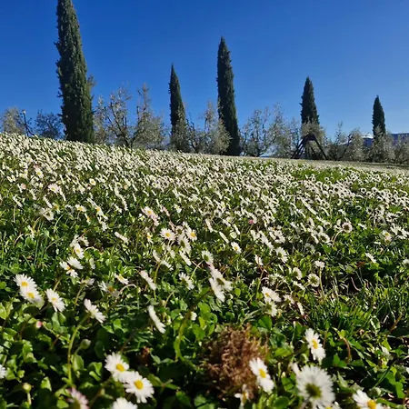 Agriturismo Val Della Pieve-2